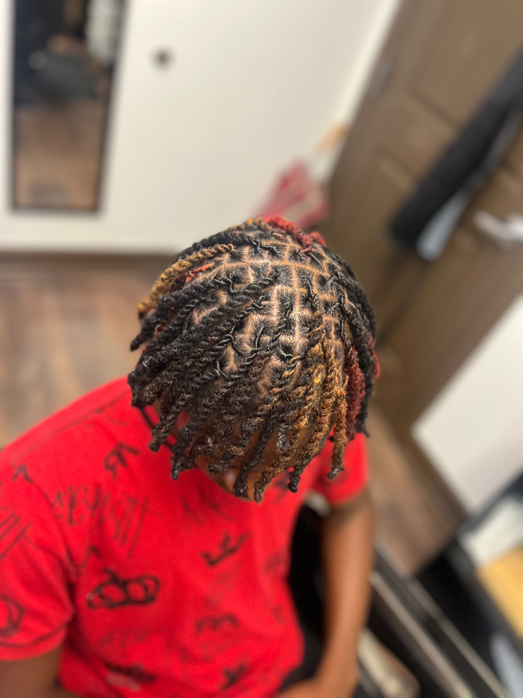 Micro Locs W/ Ropes -Above Shoulder