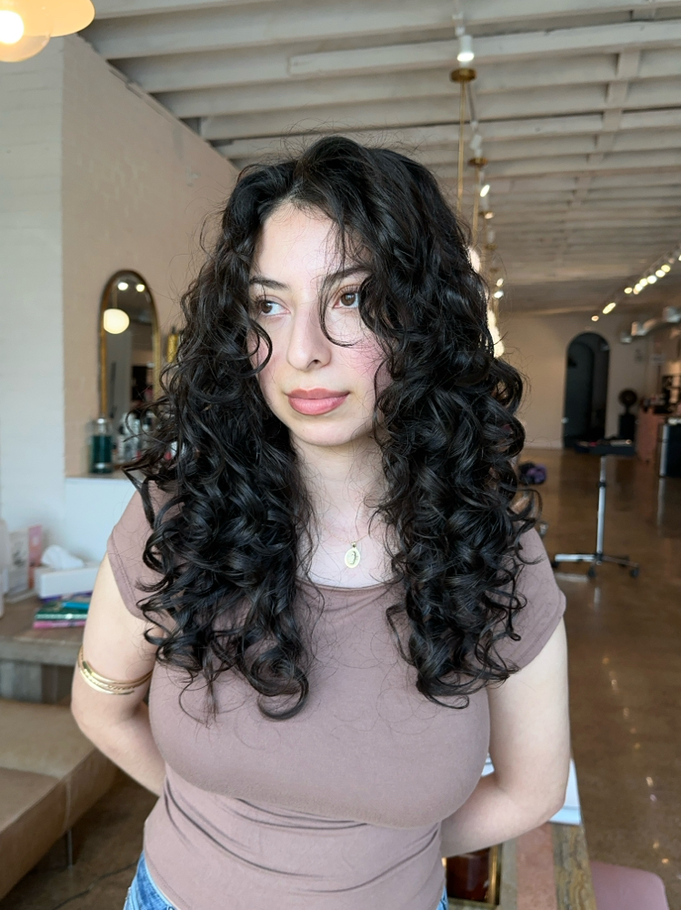 Curly Cut at emilia highlights in Dallas, TX