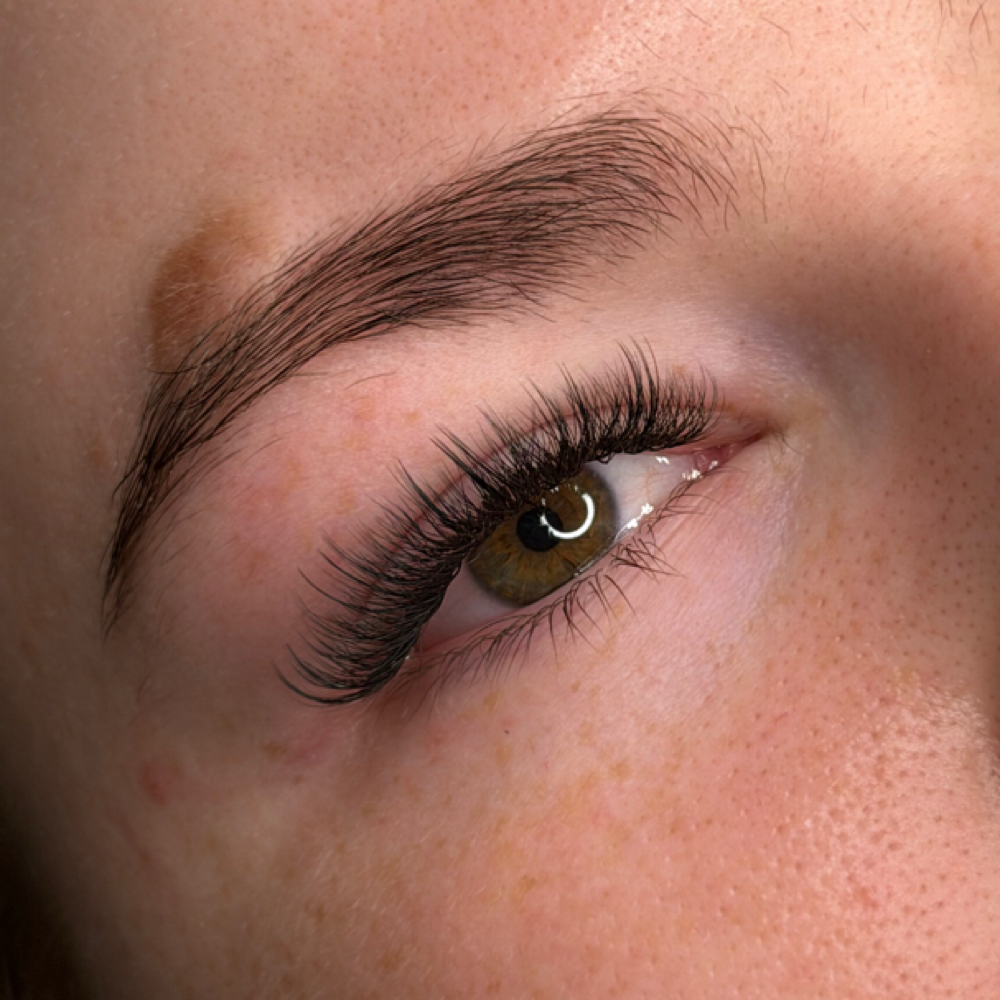 Hybrids at María Botero PMU in Ashburn, VA