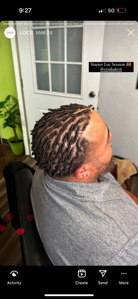 Starter Locs