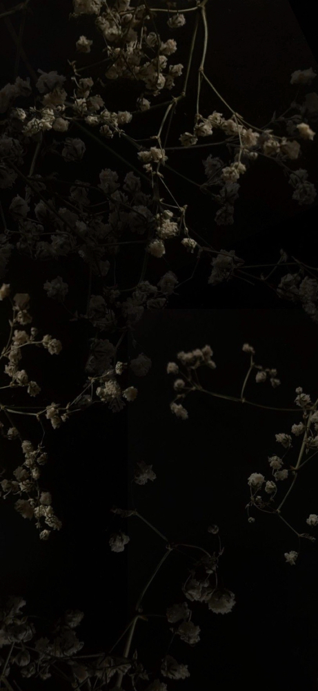 consultation at Hair by Makena Riden in Athens, TN