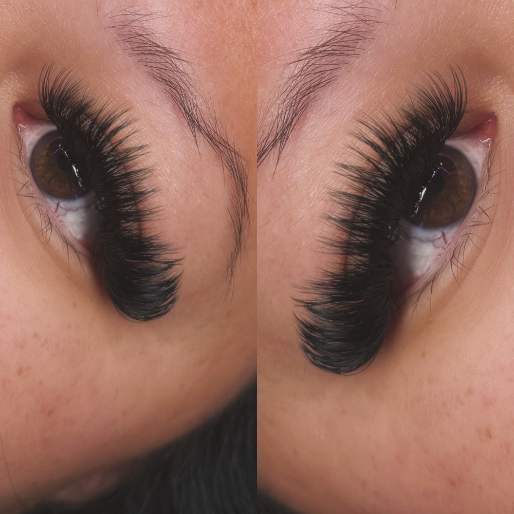 Mega Volume Lashes