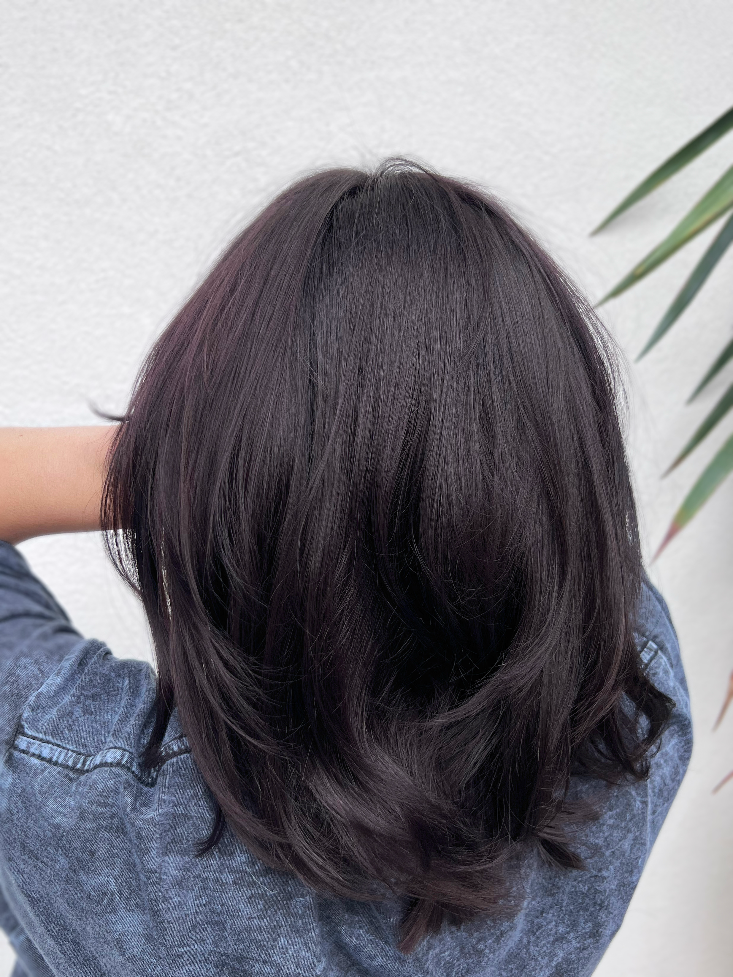Root Touch Up + Cut