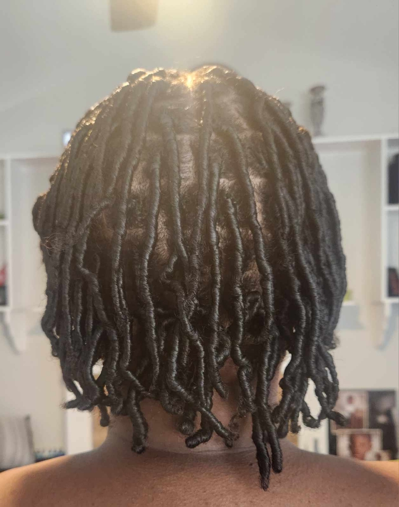 Starter Locs