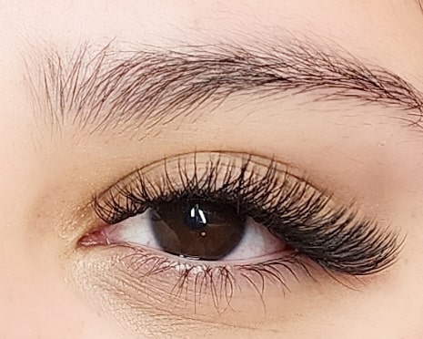 YY Lashes