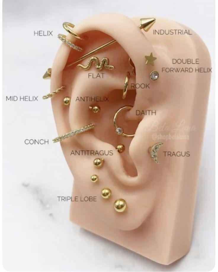Ear Project Consultation at Makenzie/Serpent & Sage in Watertown, NY