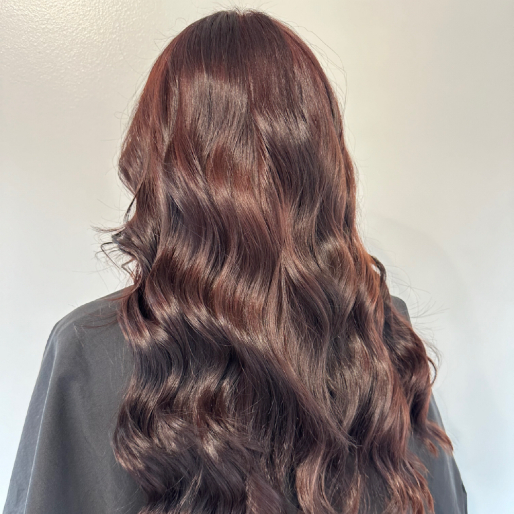 All Over Color at Moxie Beauty in Greensboro, NC