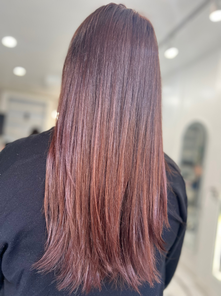 Single Process Color at Painted Hair Dreams Studio in New York, NY