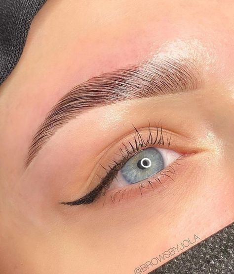 Brow Lamination & Tint