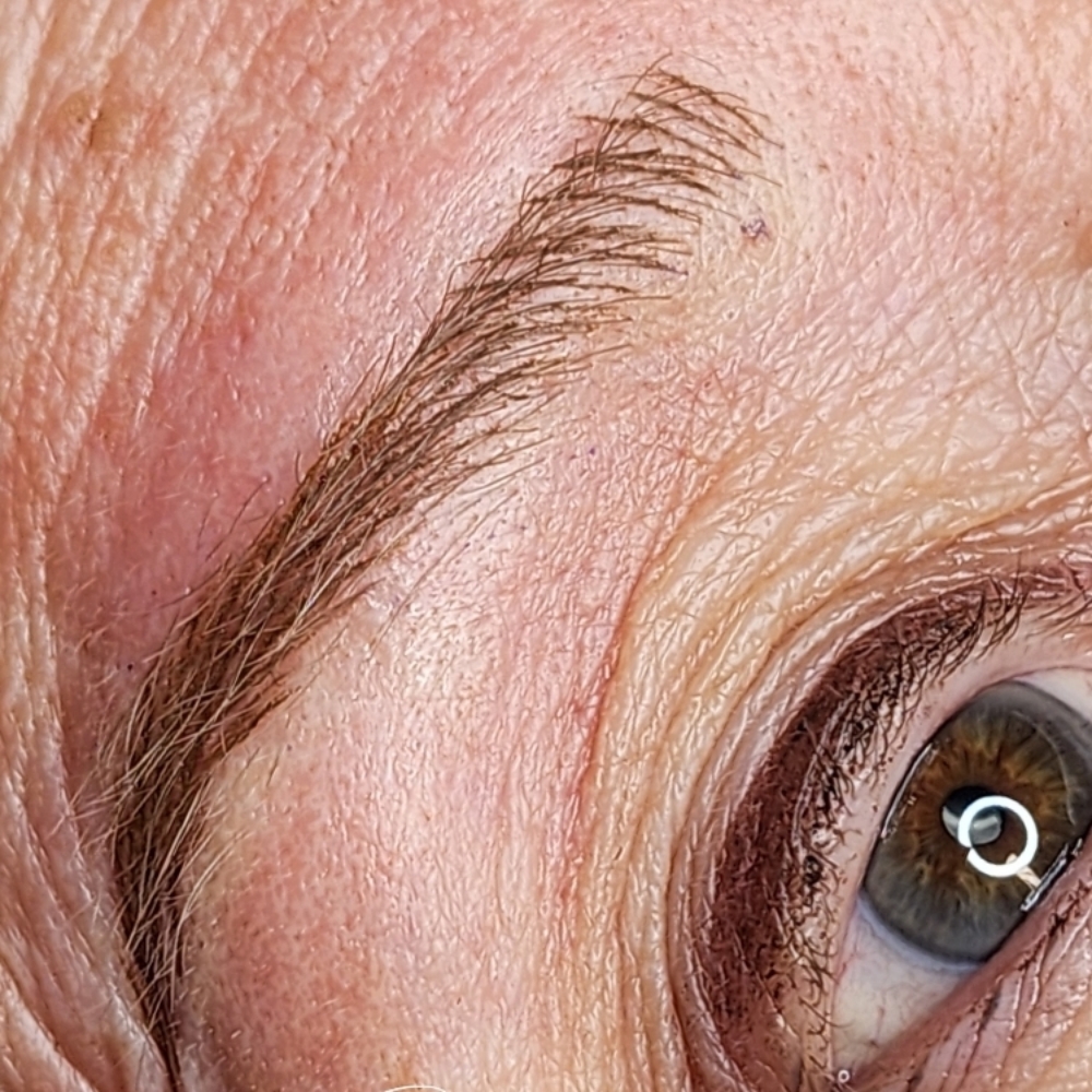 6-8 Week Brow Touch-Up at TC Brows & Hair in Fayetteville, NC