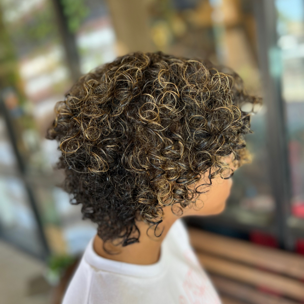 Highlights for Short hair at Beauty by Karen in El Paso, TX