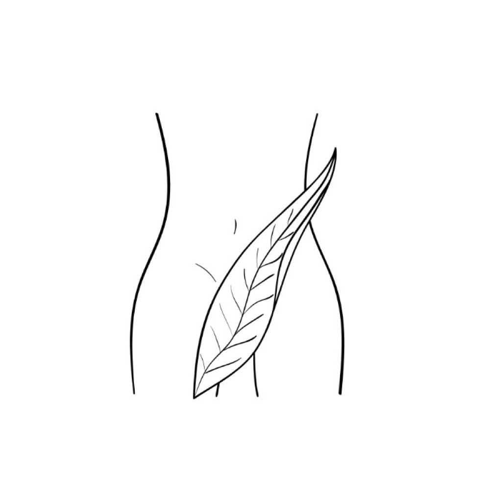 Brazilian Wax (V) at Esthetics by Ellie in Farmersville, TX