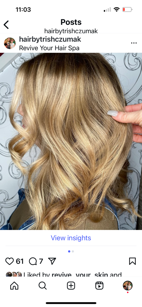 full head of highlights at The suite life by Trish in New Windsor, NY