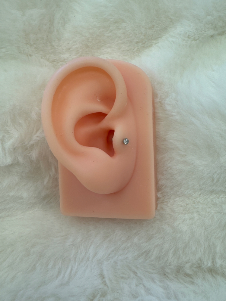 Tragus