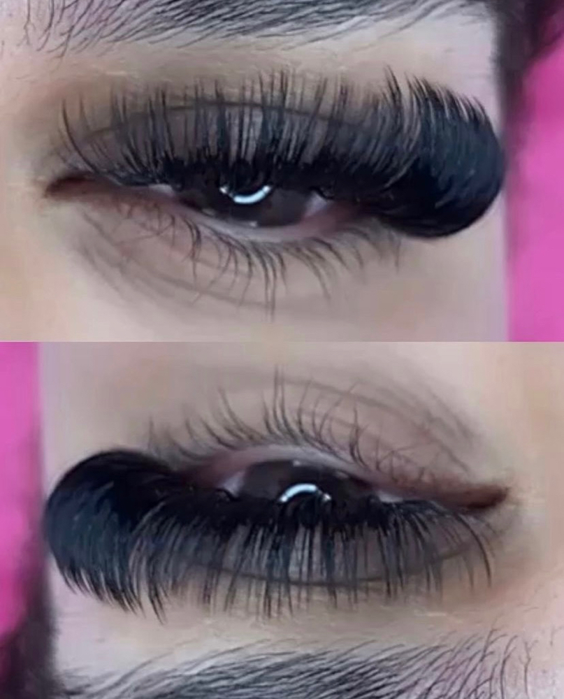 Volume Lashes