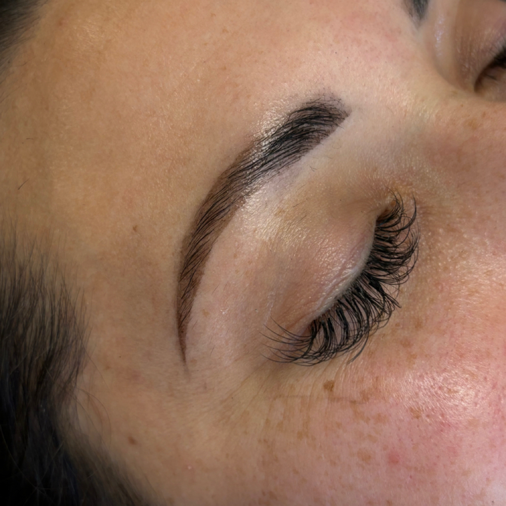 Brow Hybrid Tint(Add On) at Gavs.beautybar in Santa Maria, CA