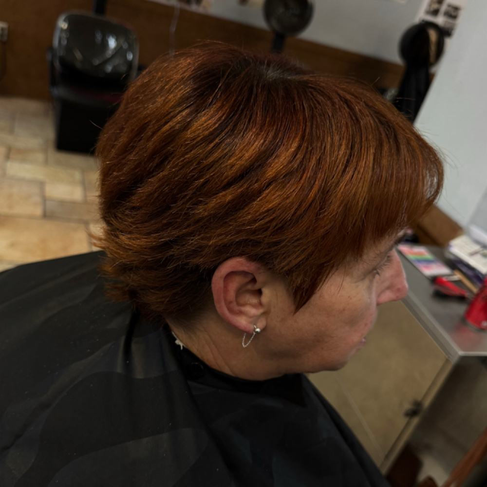 ALL OVER COLOR SHORT at Cosmetics By Maddy in Vandalia, OH