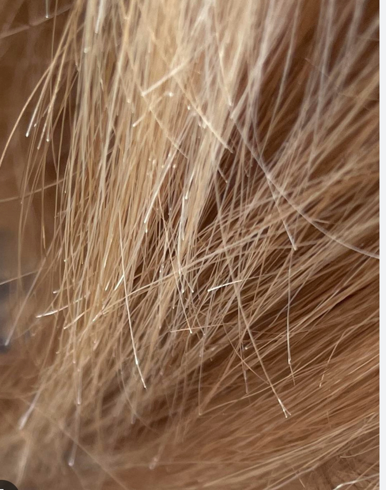 Split End Treatment