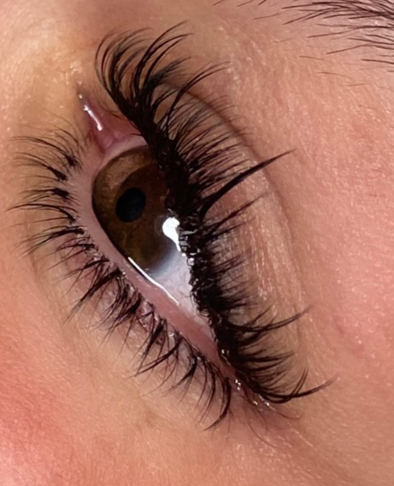 Bottom Lashes