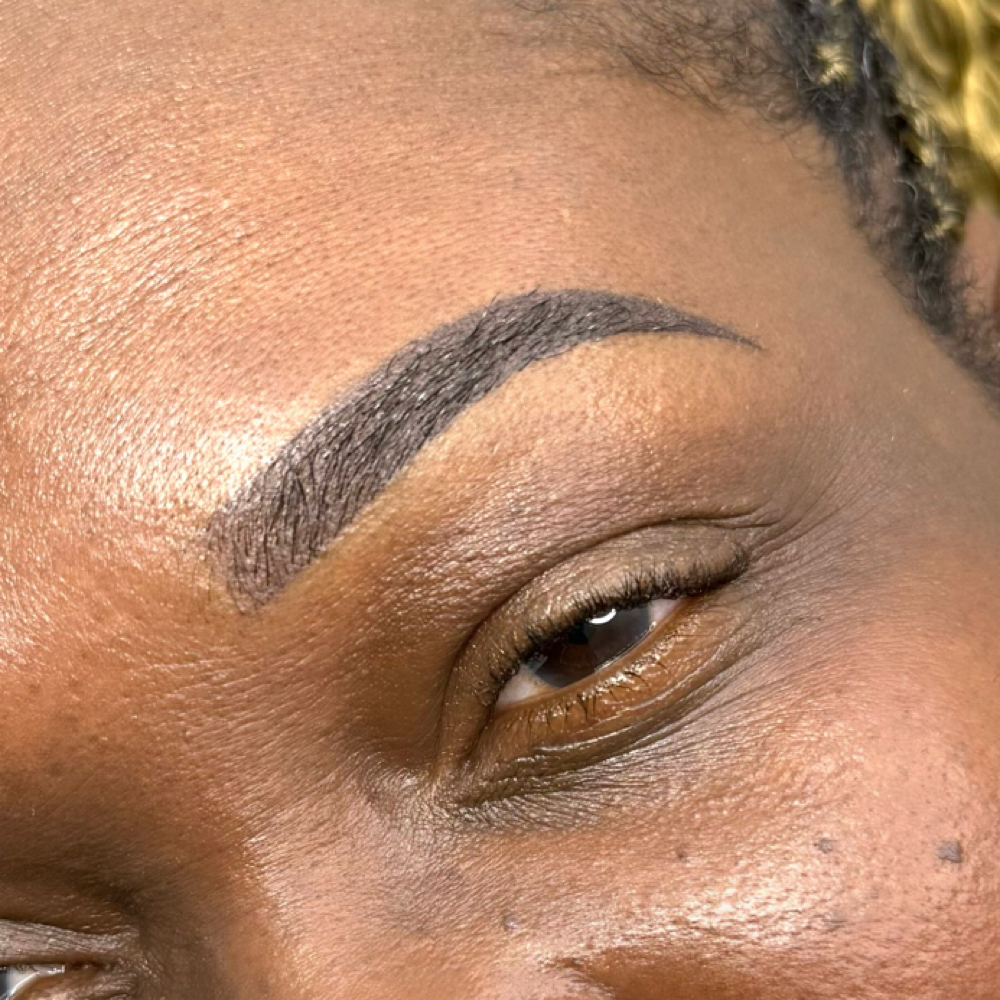 Touch Up(returning Client)2-3years at Bebebrows in Raleigh, NC