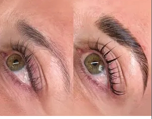 Eyebrow Map Shape Lamination & Tint