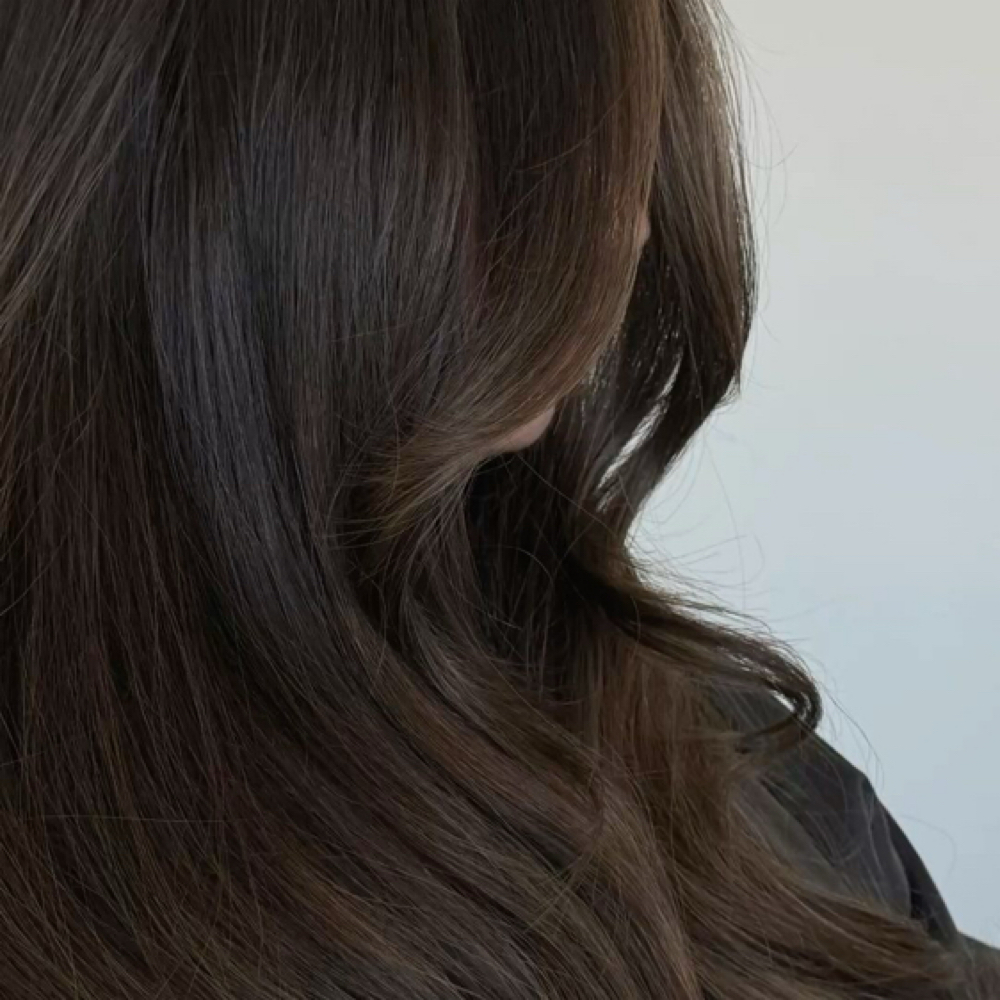 Root Touch Up/Gray Coverage at Haley Bowden in Cullman, AL