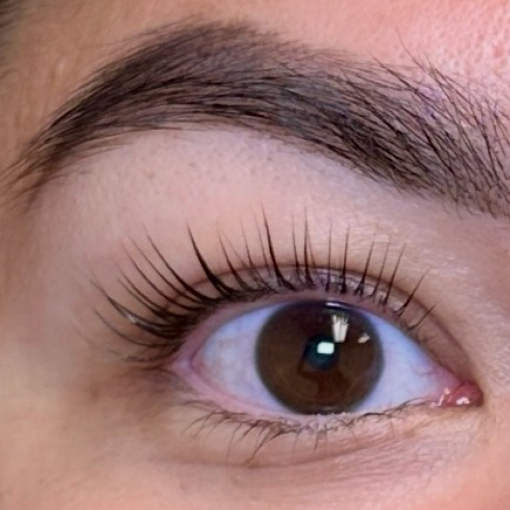 Korean Lash Lift at Bloom + Beam Beauty Bar in Wappingers Falls, NY