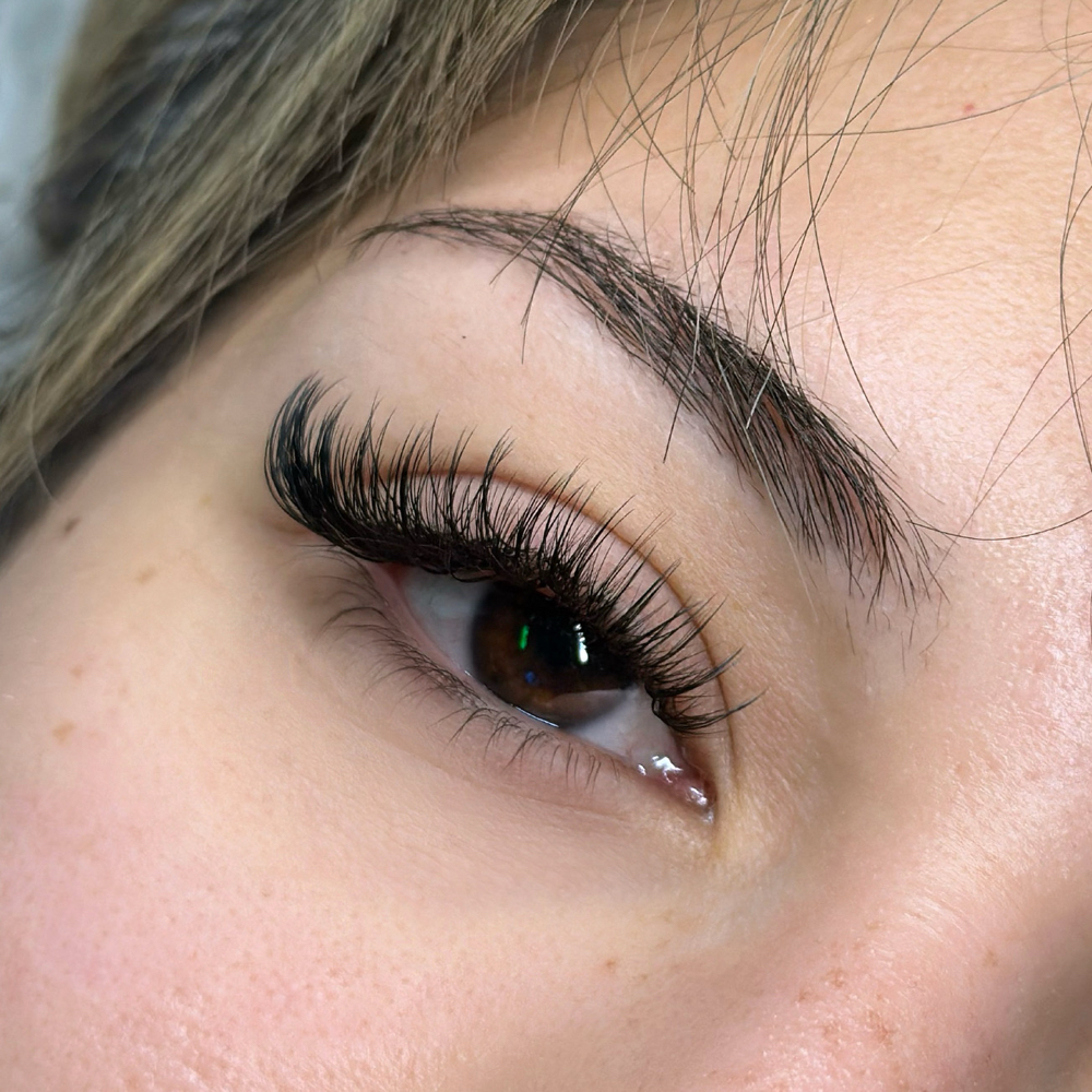 Hybrid/Light Vol Set - 3 Week Fill