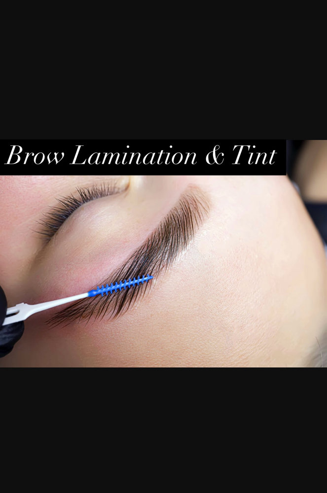 Brow Lamination, Shape, & Tint