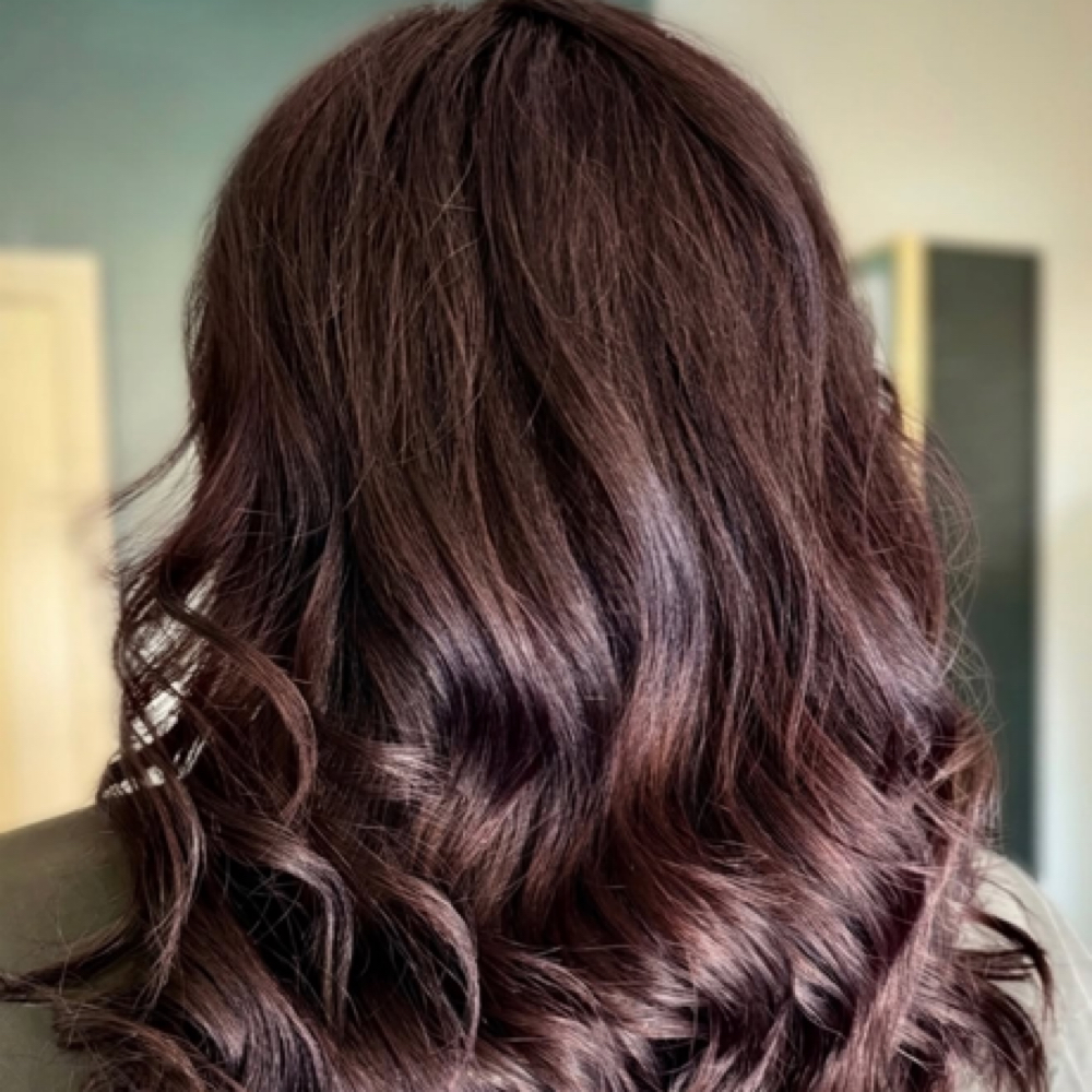 Haircut Add On at Wild Muse in Livermore, CA