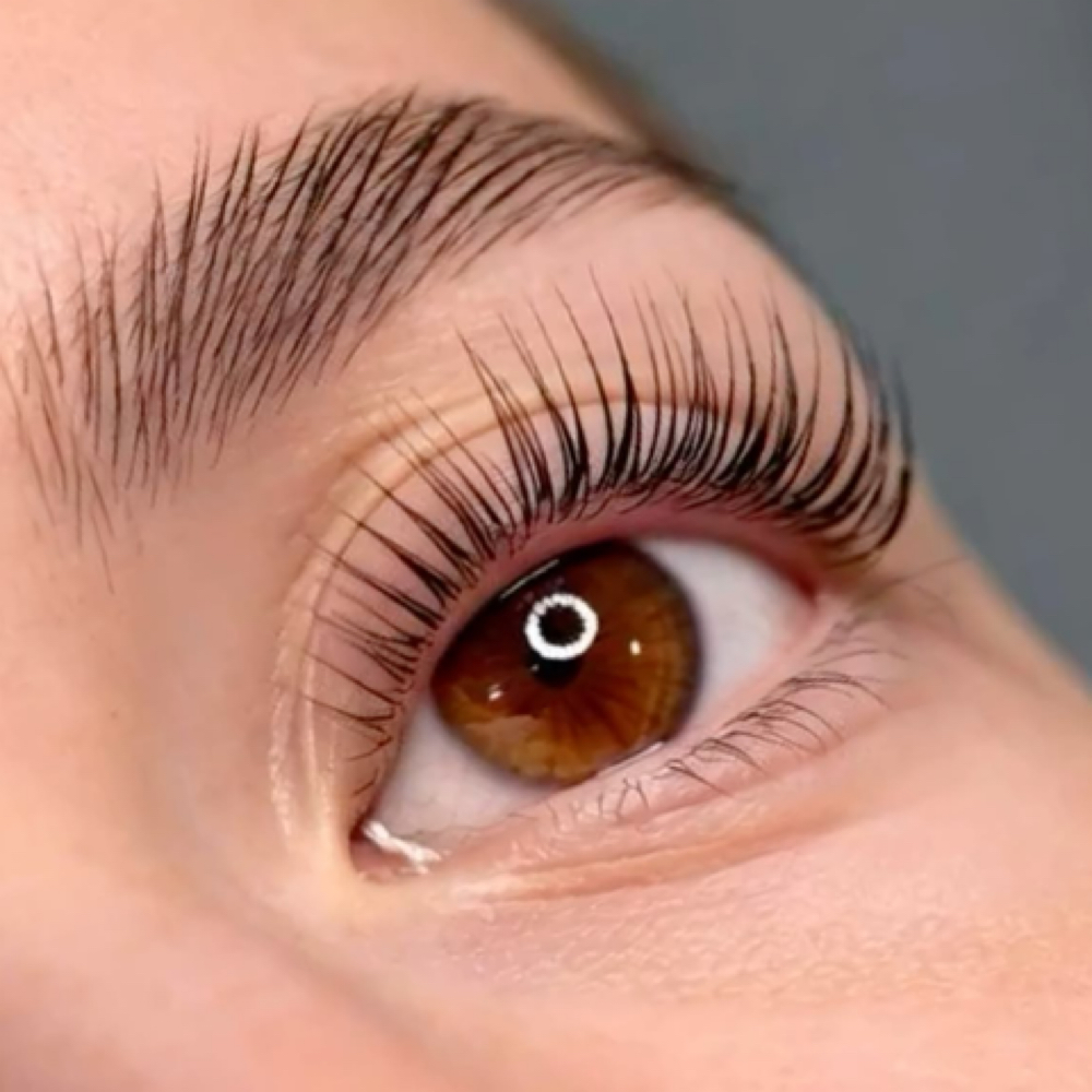 Lash Lift & Tint at The Beauty Chapter in Cedar Rapids, IA