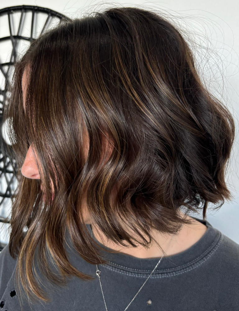 Mini Balayage and Haircut