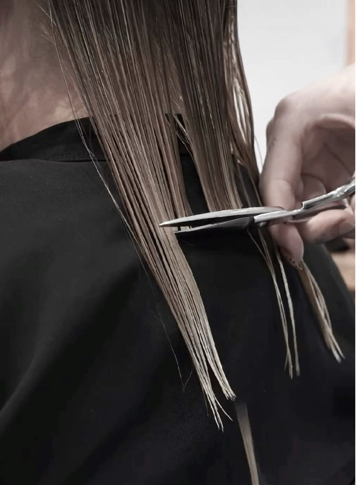 Dry Cut with Aubrey
