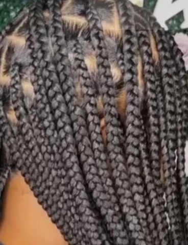 Big Knotless Box Braids ( Waist)