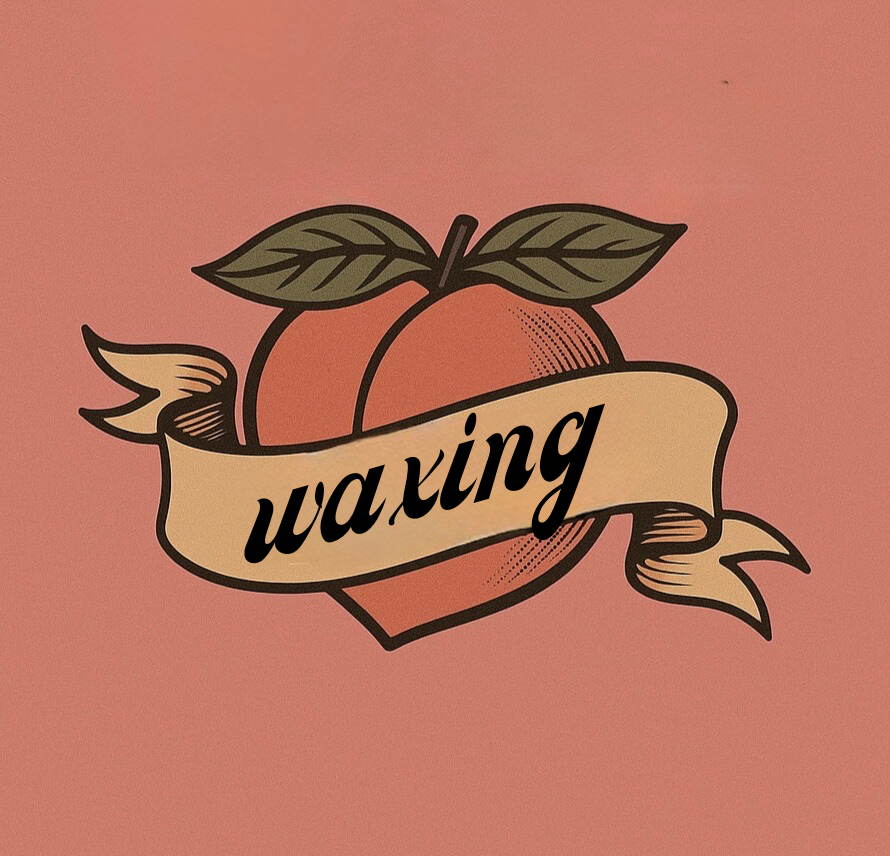 Bikini Wax
