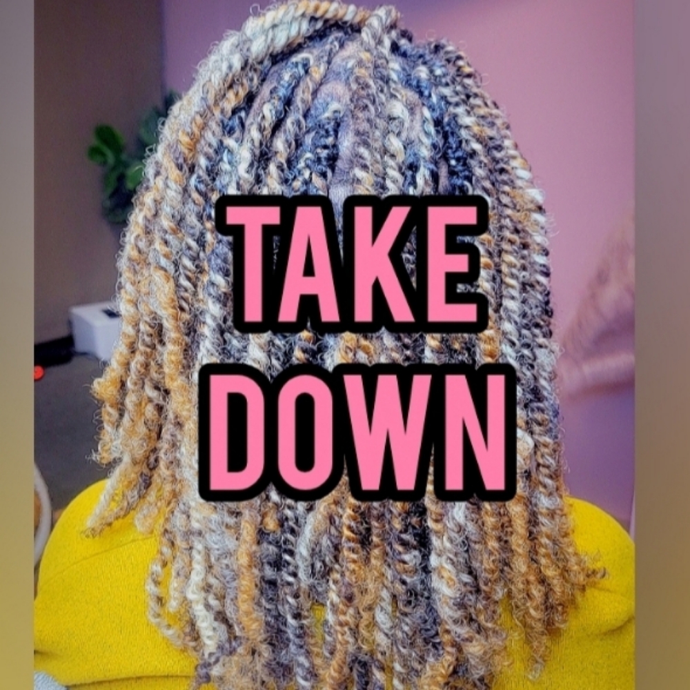 Twts Take Dwn(ADD ON) at Beautiful Me Hair Studios in Albany, GA