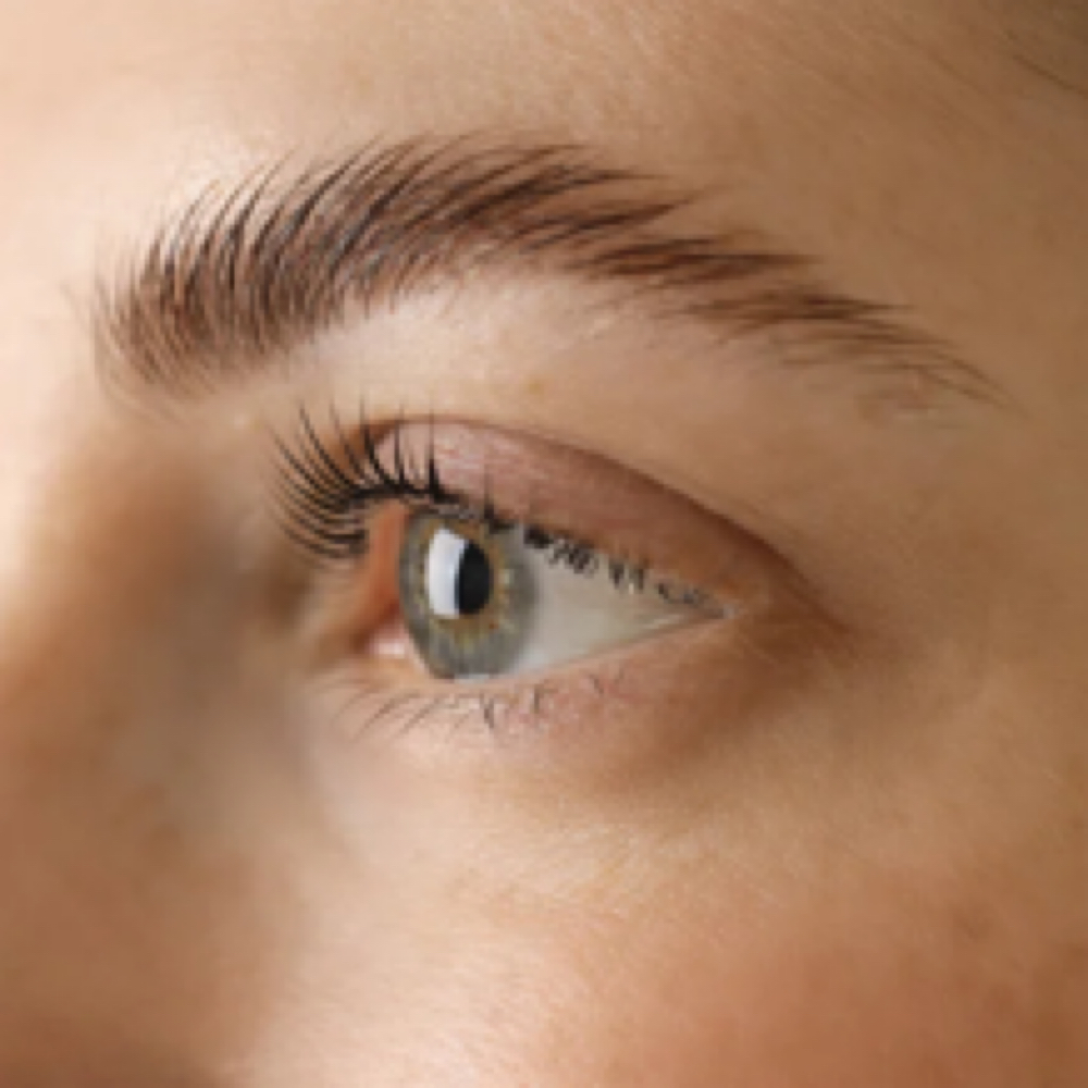 Eyebrow Services at WaxClub Columbus in Columbus, MS