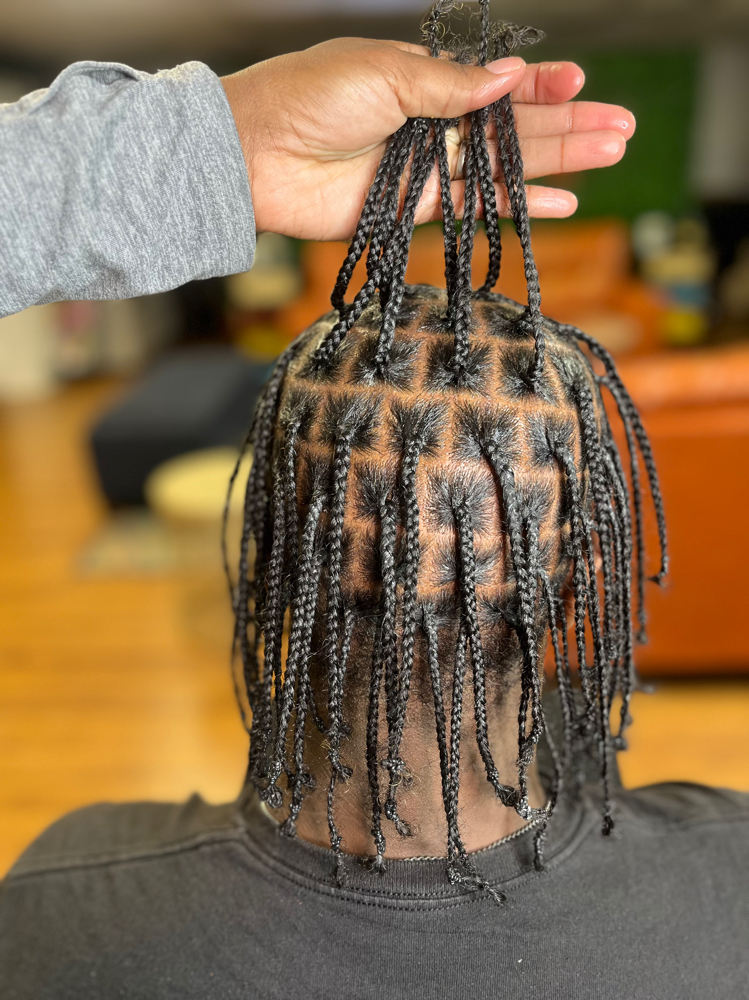 Plats at Dluxurybar in North Augusta, SC