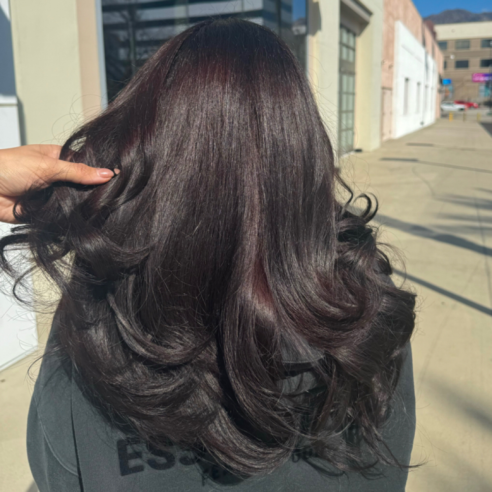 All Over Color (darker) at honeybee hair in Los Angeles, CA