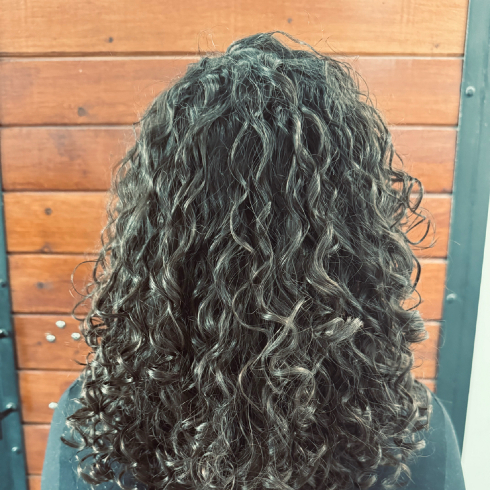 Curl Cut at J. Tull Studio in El Paso, TX