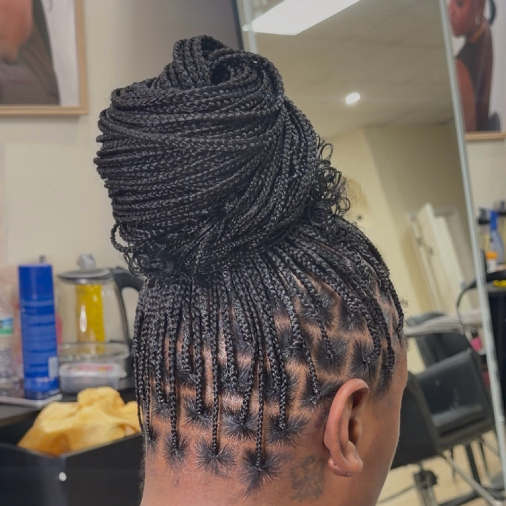 Small  Knotless (light) at Sene Beauty Bar in Horn Lake, MS