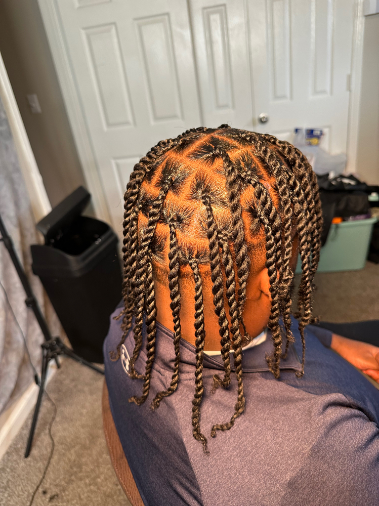 2 Strand Twist