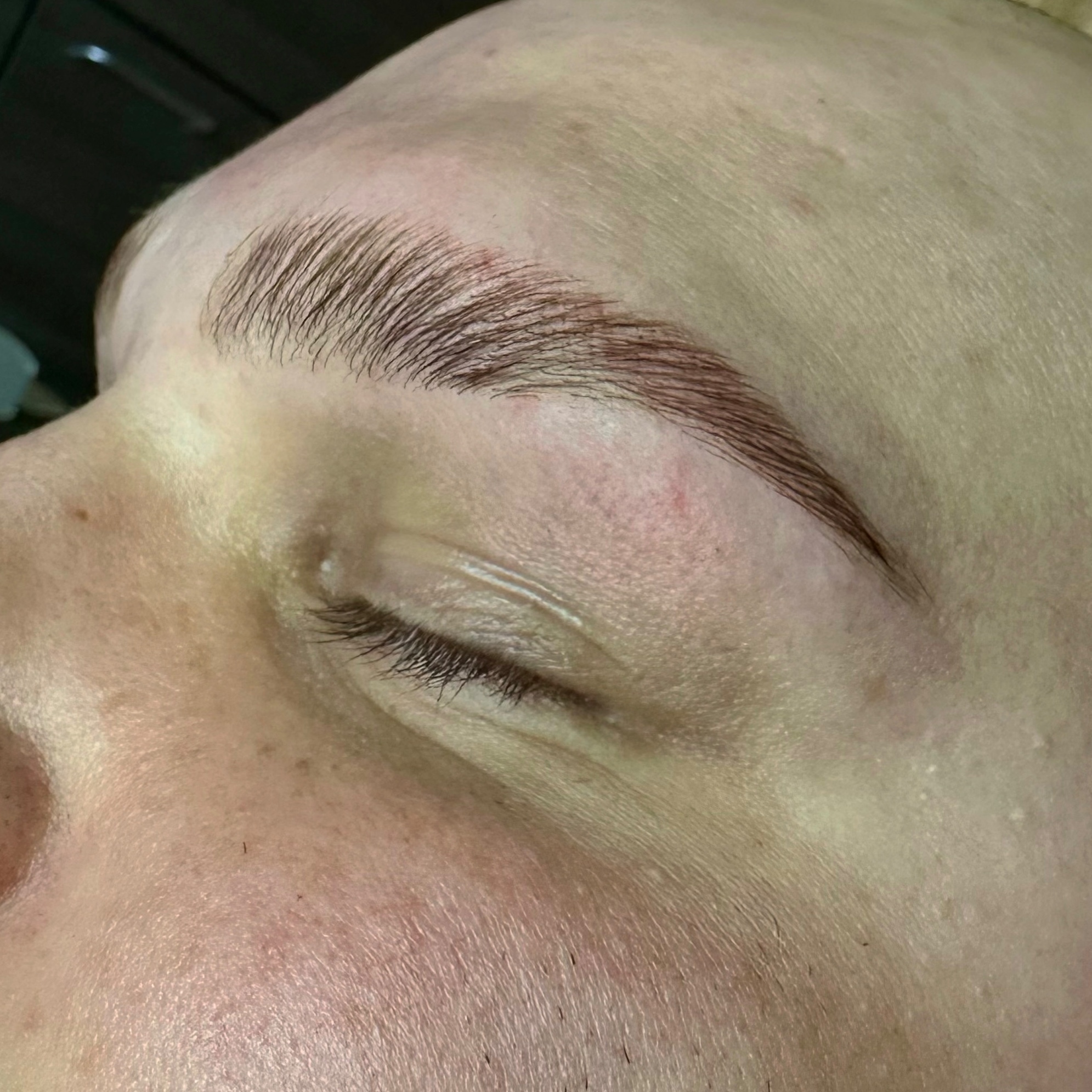 Skin Normality Brow Lamination