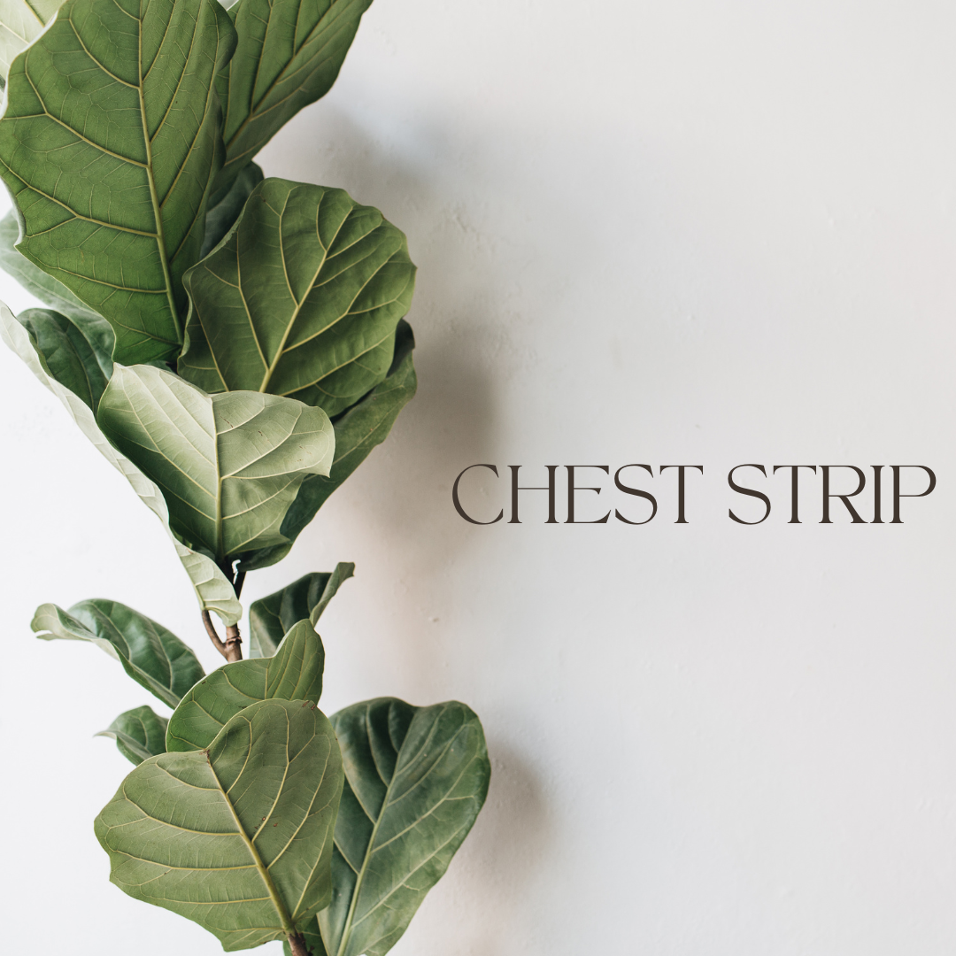 Chest Strip