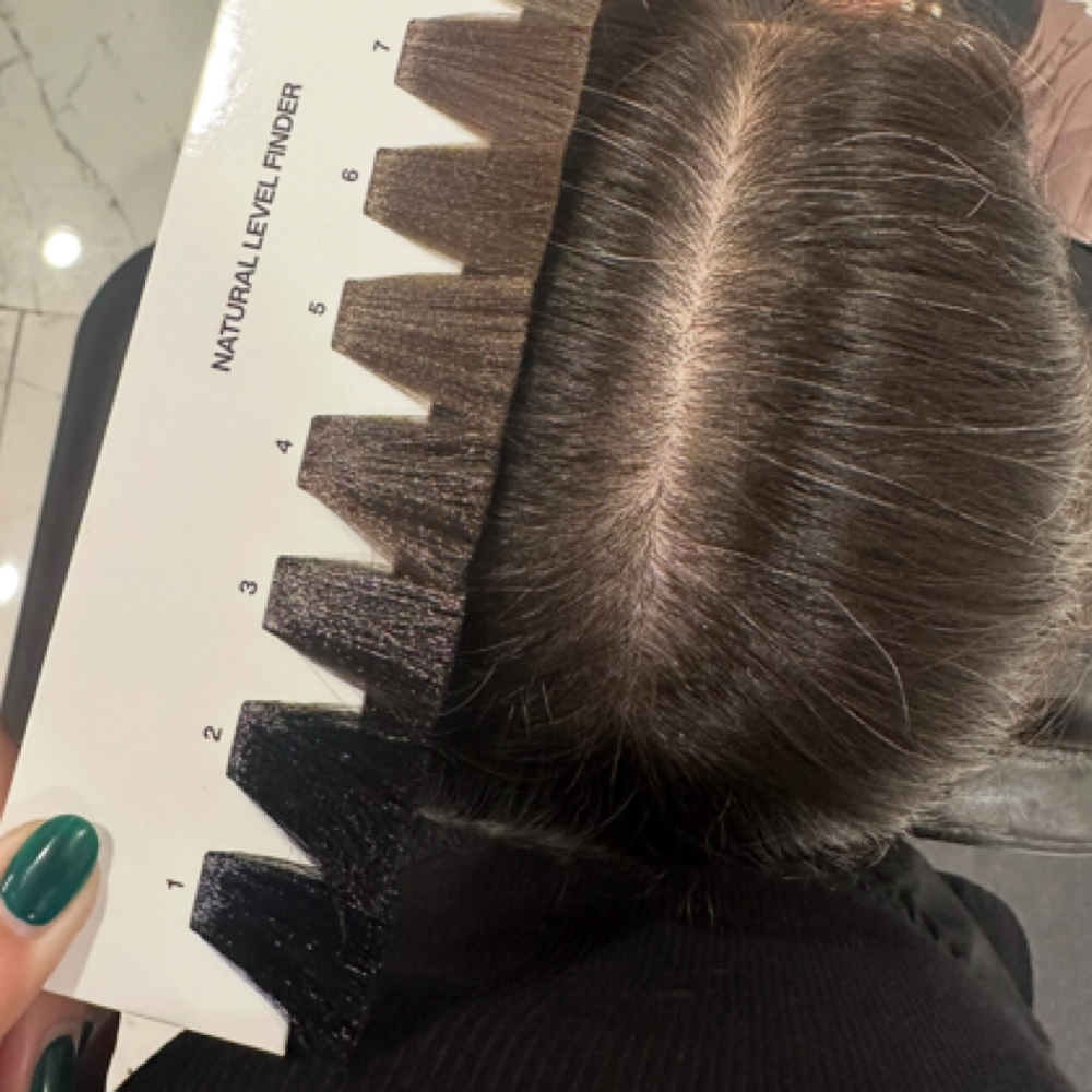 Root Touch Up (Grey Coverage) at Luxe Hair By Sav in Tampa, FL