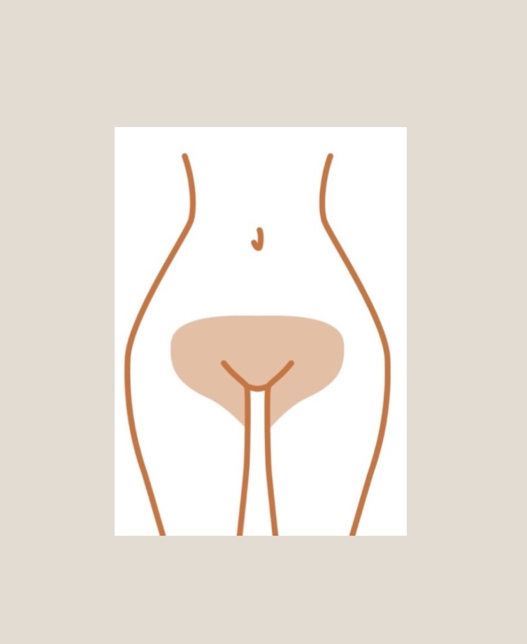 Brazillian (Full Vaginal Wax)
