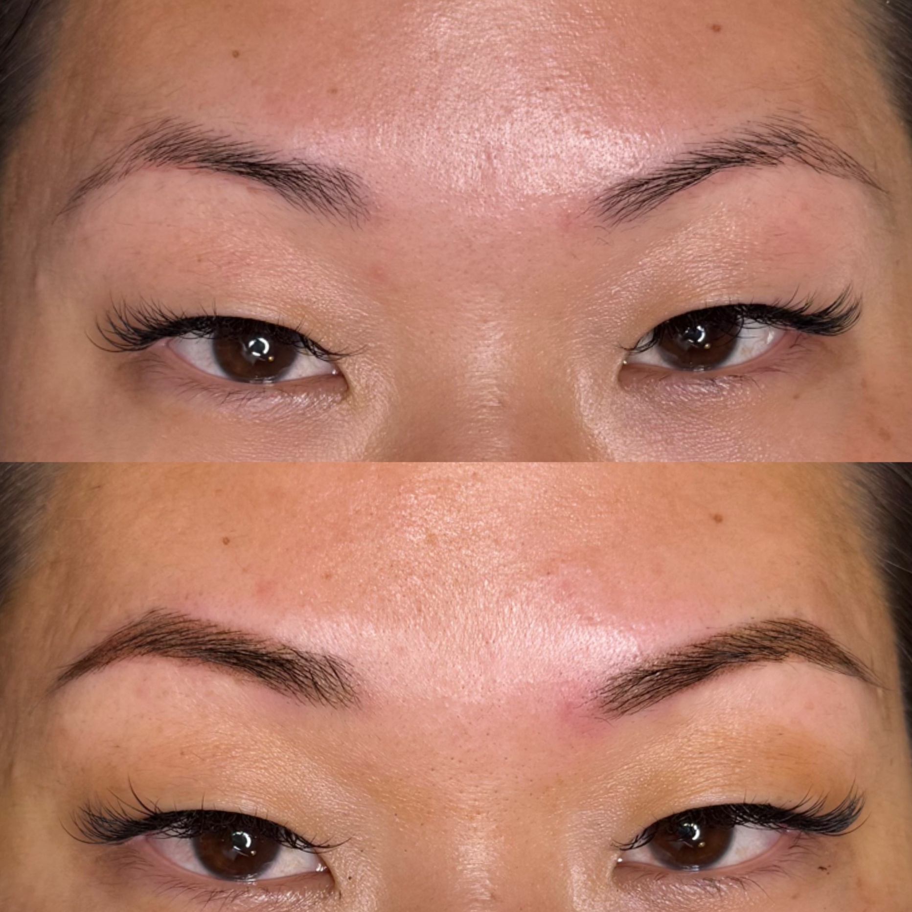 Ombre Powder Brows Cover Up at Just Brow Things in Texas, TX