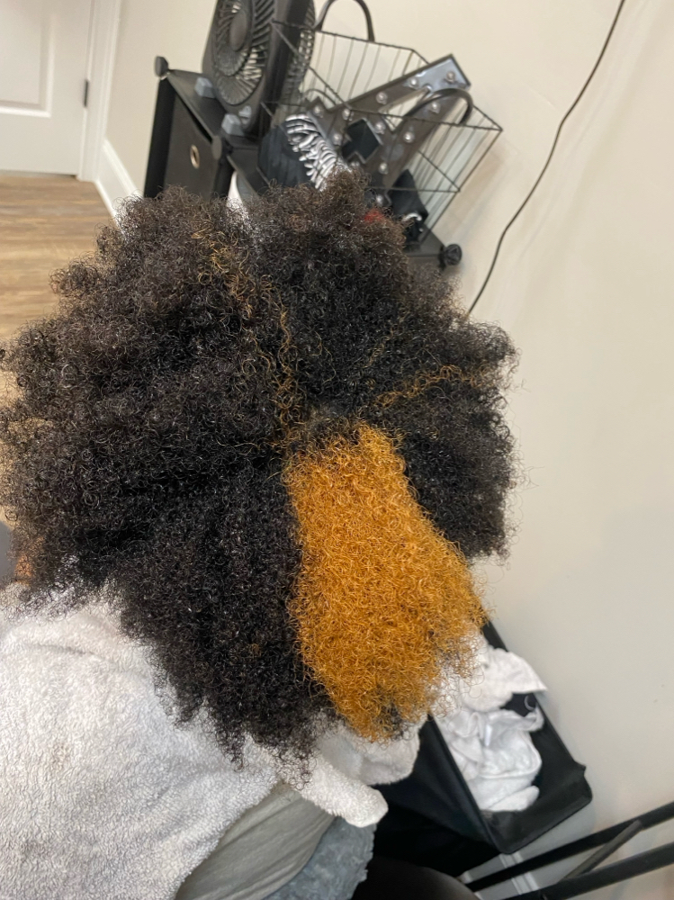 Color Consultation