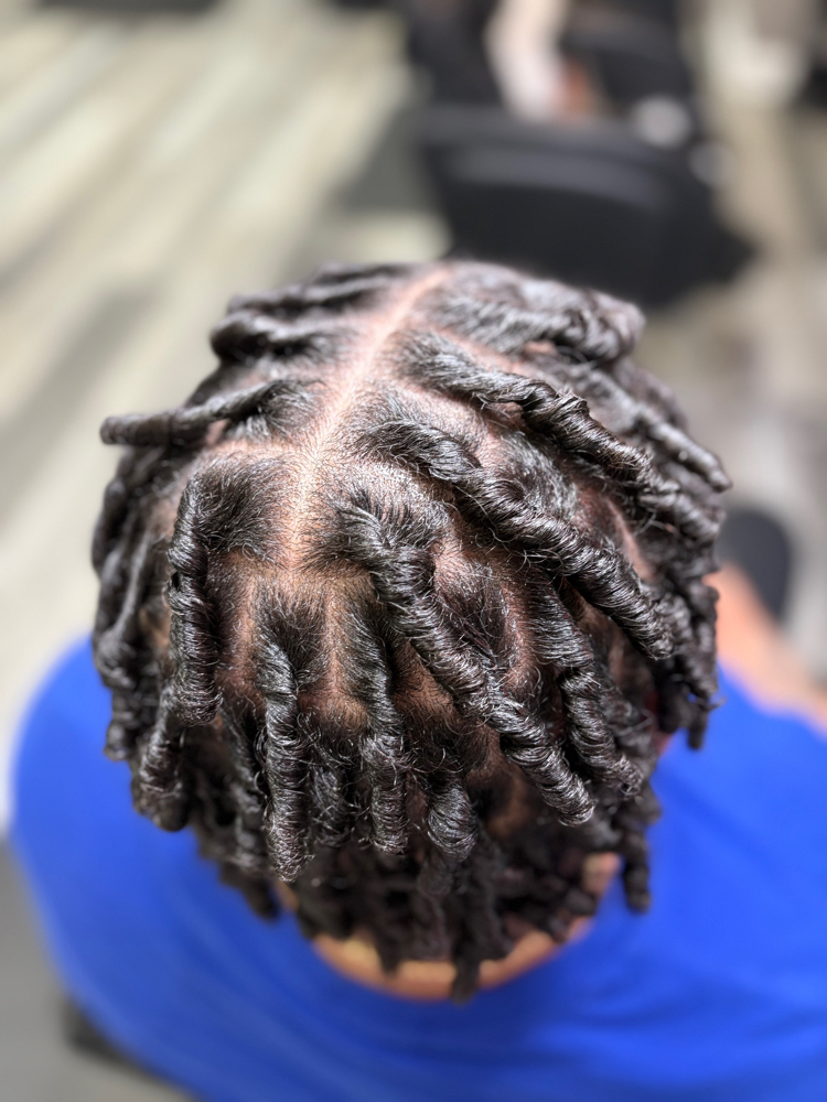 Starter Locs (Comb coil)