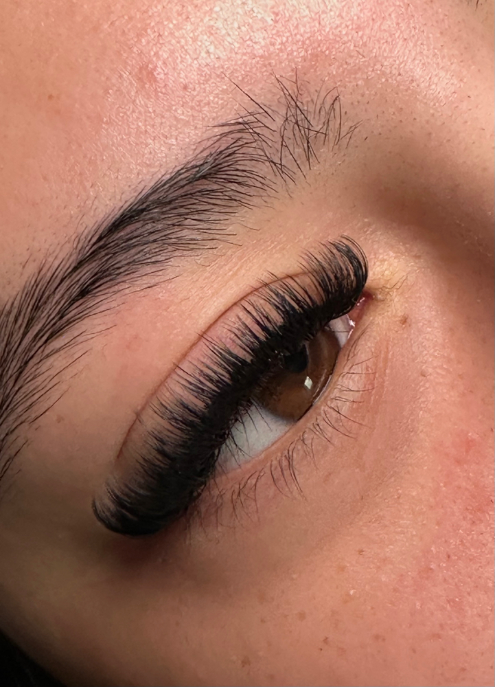 Hybrid Full Set